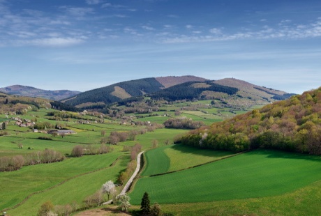 Vallée de La Roche