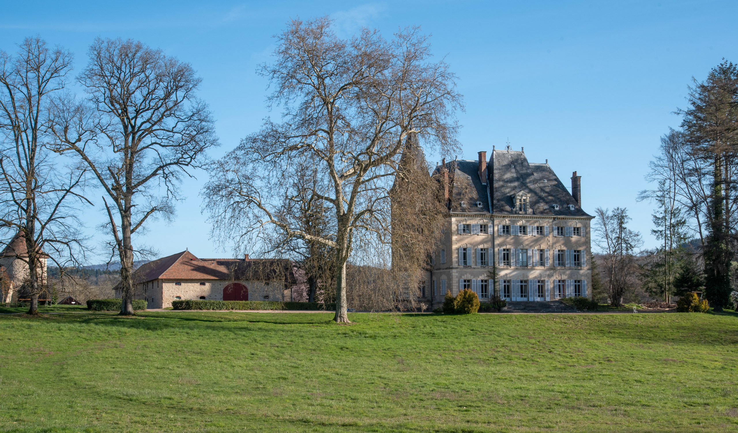 Un festival sous les arbres